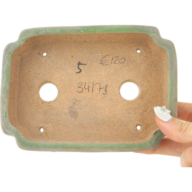 Maceta para bonsái ovalada craquelé verde de Hattori - 160 x 113 x 35 mm