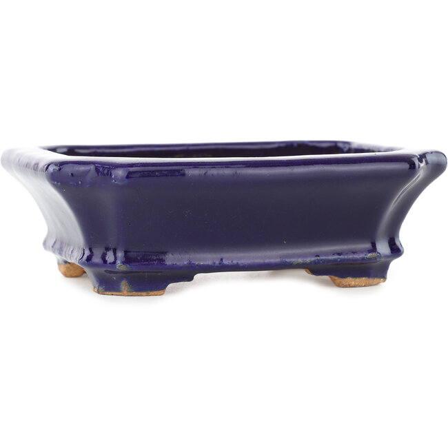 Pot à bonsaï rectangulaire bleu foncé par Hattori - 142 x 112 x 45 mm