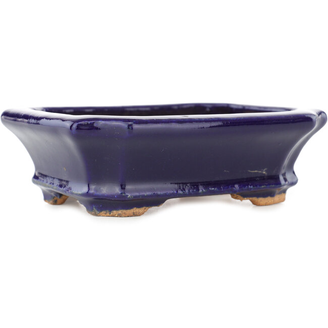 Maceta rectangular para bonsái de color azul oscuro de Hattori - 142 x 112 x 45 mm