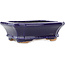 Maceta rectangular para bonsái de color azul oscuro de Hattori - 142 x 112 x 45 mm