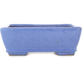  Hattori Tomoyuki Maceta rectangular de color azul claro para bonsái de 155 mm de Hattori, Tokoname, Japón