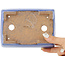 Maceta rectangular para bonsái de color azul claro de Hattori - 155 x 110 x 55 mm