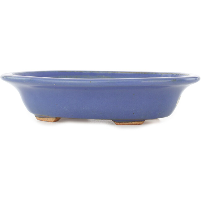 Vaso bonsai ovale azzurro chiaro di Hattori - 197 x 152 x 45 mm