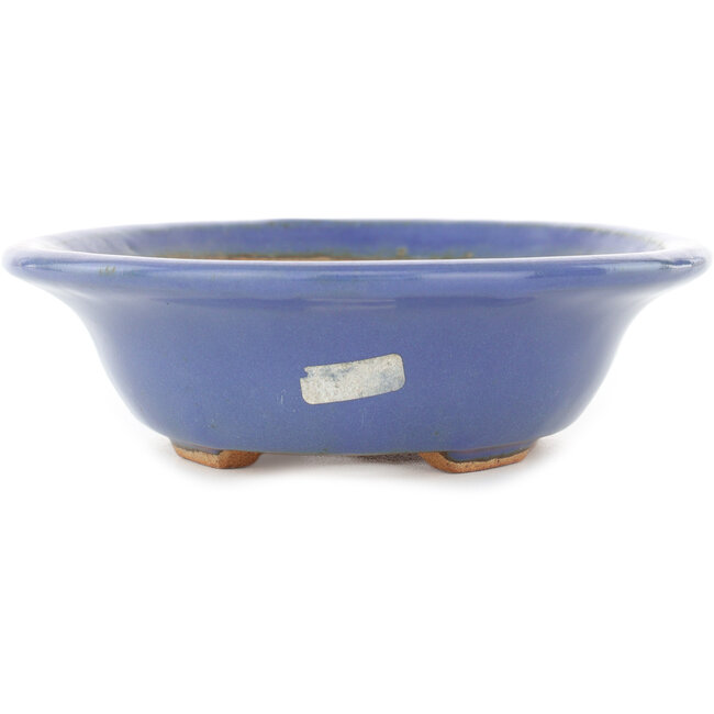 Ovale lichtblauwe bonsaipot van Hattori - 197 x 152 x 45 mm