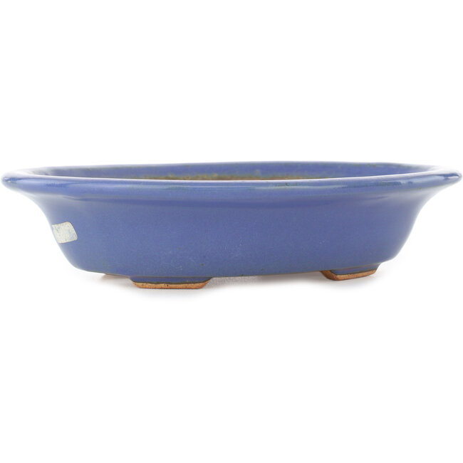 Maceta ovalada para bonsái de color azul claro de Hattori - 197 x 152 x 45 mm