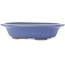 Maceta ovalada para bonsái de color azul claro de Hattori - 197 x 152 x 45 mm