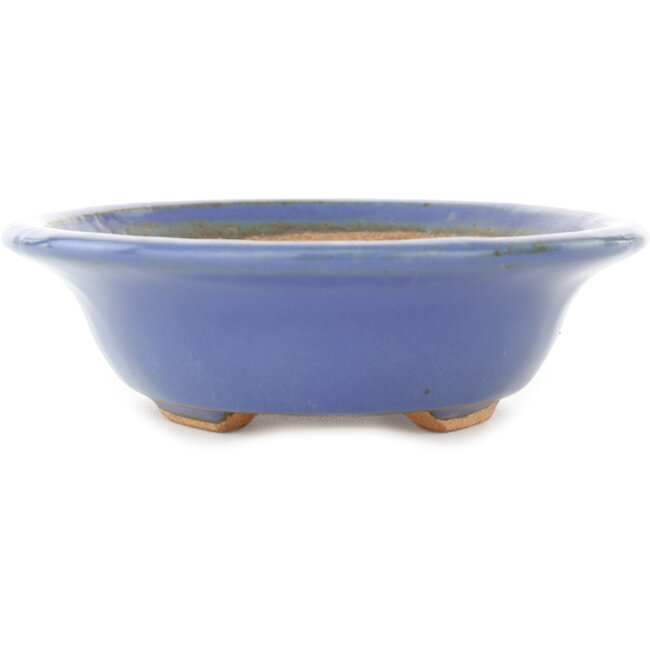 Maceta ovalada para bonsái de color azul claro de Hattori - 197 x 152 x 45 mm