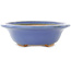 Maceta ovalada para bonsái de color azul claro de Hattori - 197 x 152 x 45 mm