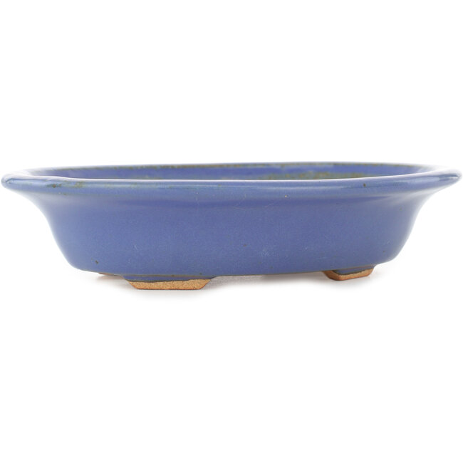 Oval light blue bonsai pot by Hattori - 197 x 152 x 45 mm