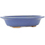 Maceta ovalada para bonsái de color azul claro de Hattori - 197 x 152 x 45 mm