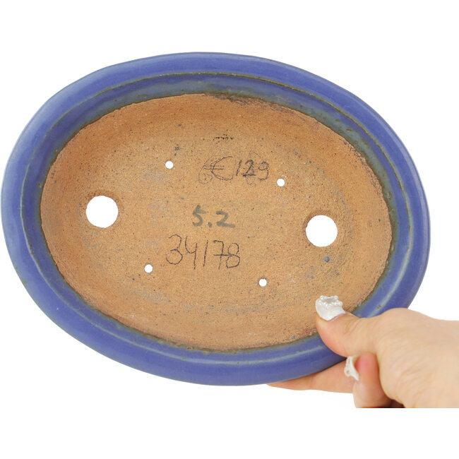 Pot à bonsaï ovale bleu clair de Hattori - 197 x 152 x 45 mm