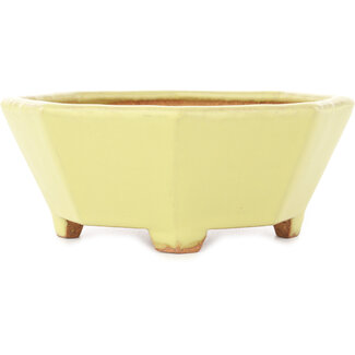  Hattori Tomoyuki Pot à bonsaï octogonal jaune de 150 mm par Hattori, Tokoname, Japon