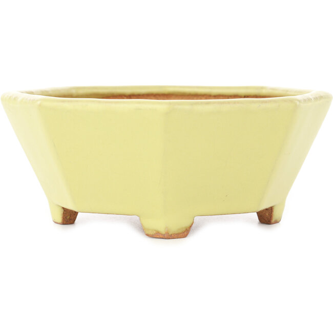Maceta octogonal amarilla para bonsái de Hattori - 150 x 150 x 60 mm