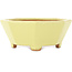 Maceta octogonal amarilla para bonsái de Hattori - 150 x 150 x 60 mm
