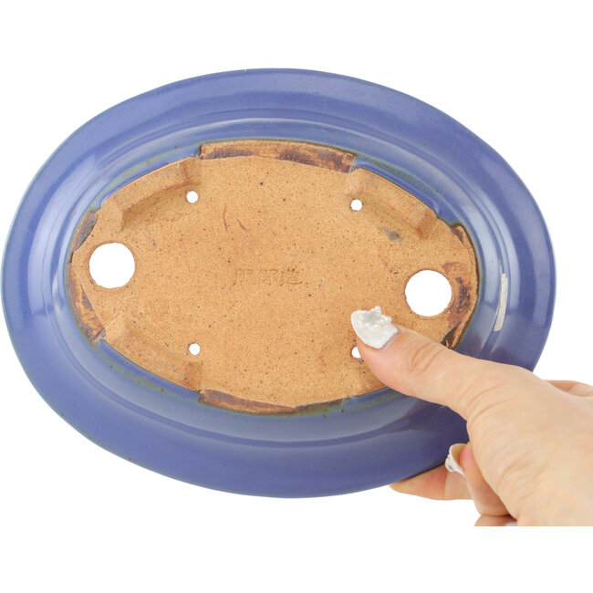 Maceta ovalada para bonsái de color azul claro de Hattori - 197 x 152 x 45 mm