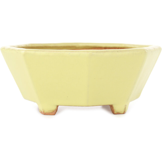 Maceta octogonal amarilla para bonsái de Hattori - 150 x 150 x 60 mm