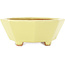 Pot à bonsaï octogonal jaune de Hattori - 150 x 150 x 60 mm