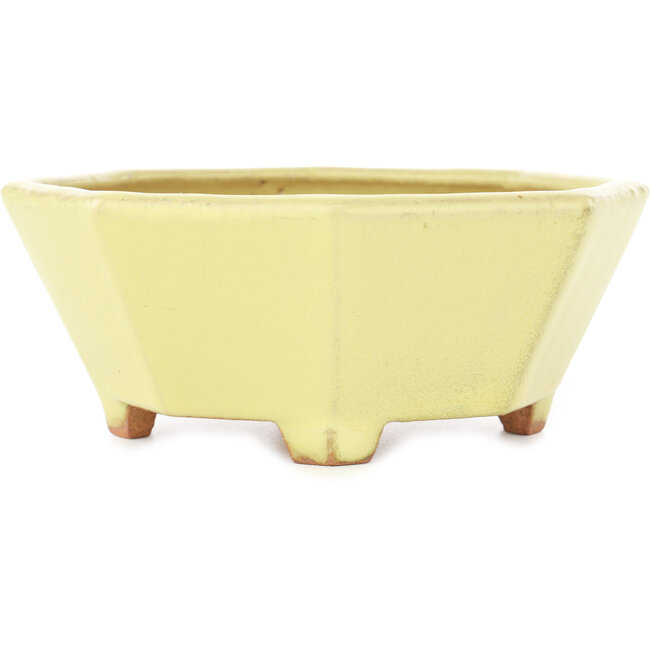 Octagonal yellow bonsai pot by Hattori - 150 x 150 x 60 mm