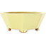 Pot à bonsaï octogonal jaune de Hattori - 150 x 150 x 60 mm