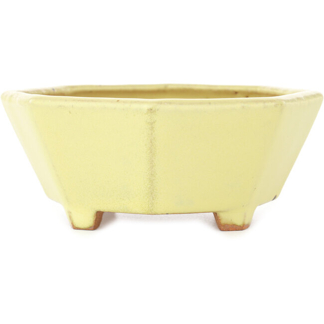 Achthoekige gele bonsaipot van Hattori - 150 x 150 x 60 mm