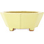 Pot à bonsaï octogonal jaune de Hattori - 150 x 150 x 60 mm