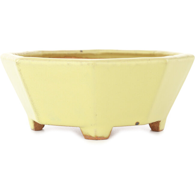 Pot à bonsaï octogonal jaune de Hattori - 150 x 150 x 60 mm