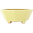Pot à bonsaï octogonal jaune de Hattori - 150 x 150 x 60 mm