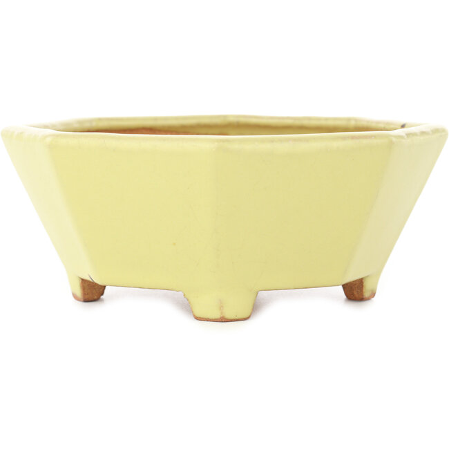 Pot à bonsaï octogonal jaune de Hattori - 150 x 150 x 60 mm