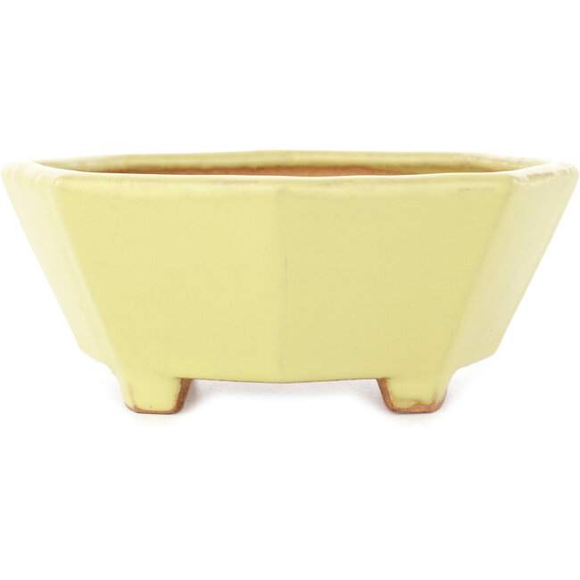 Octagonal yellow bonsai pot by Hattori - 150 x 150 x 60 mm