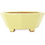 Pot à bonsaï octogonal jaune de Hattori - 150 x 150 x 60 mm