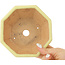Maceta octogonal amarilla para bonsái de Hattori - 150 x 150 x 60 mm