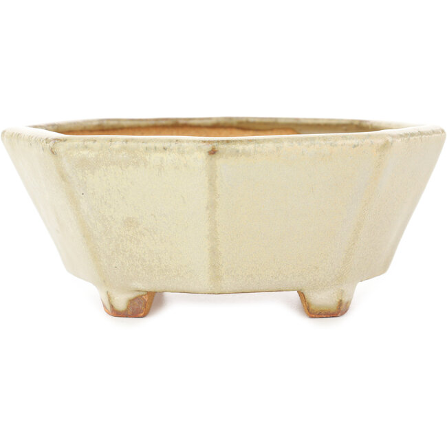Octagonal white bonsai pot by Hattori - 147 x 147 x 60 mm