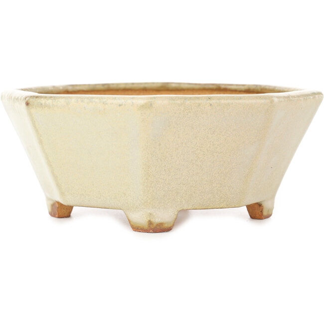 Maceta octogonal blanca para bonsái de Hattori - 147 x 147 x 60 mm