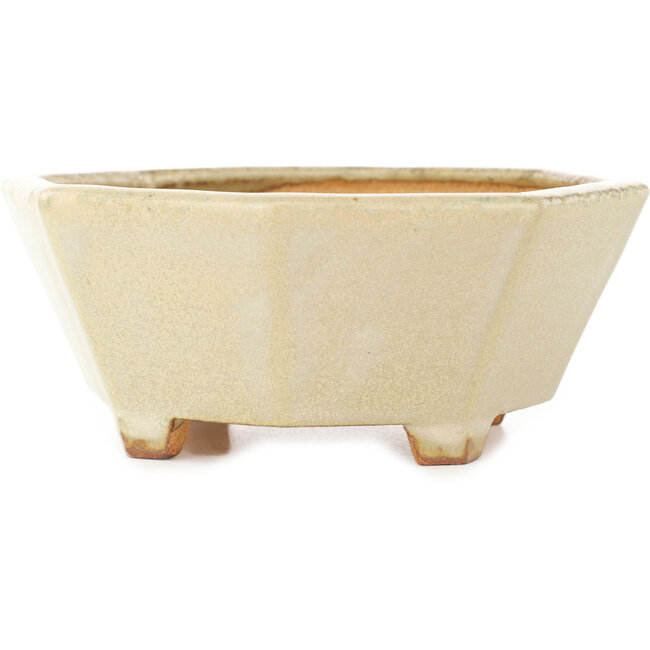 Octagonal white bonsai pot by Hattori - 147 x 147 x 60 mm