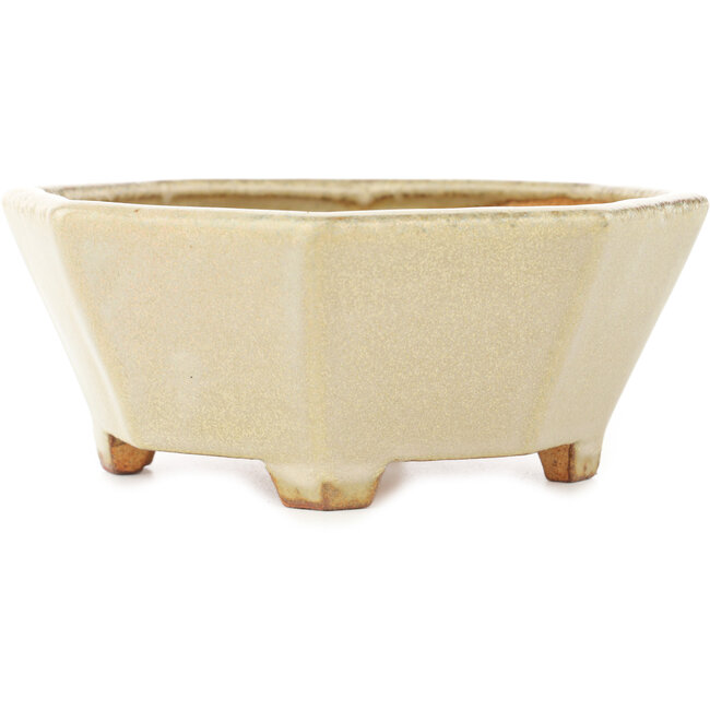 Maceta octogonal blanca para bonsái de Hattori - 147 x 147 x 60 mm