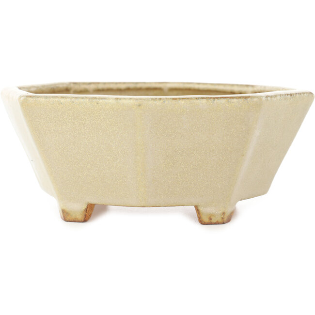 Pot à bonsaï octogonal blanc de Hattori - 147 x 147 x 60 mm