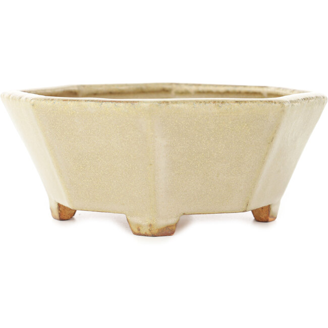 Pot à bonsaï octogonal blanc de Hattori - 147 x 147 x 60 mm