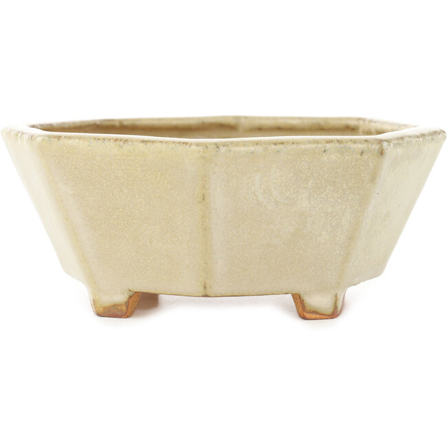 Maceta octogonal blanca para bonsái de Hattori - 147 x 147 x 60 mm