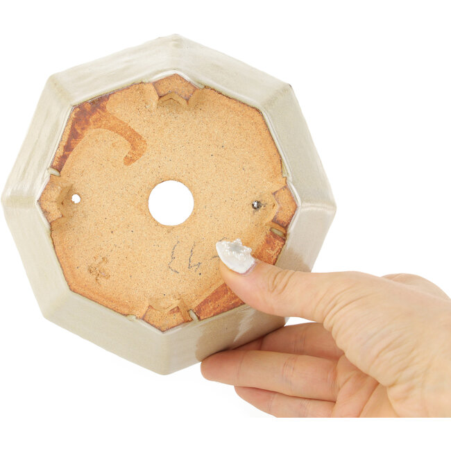 Maceta octogonal blanca para bonsái de Hattori - 147 x 147 x 60 mm
