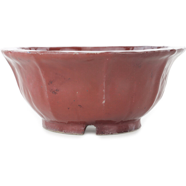 Pot à bonsaï Lotus rouge de Koyou - 187 x 187 x 78 mm