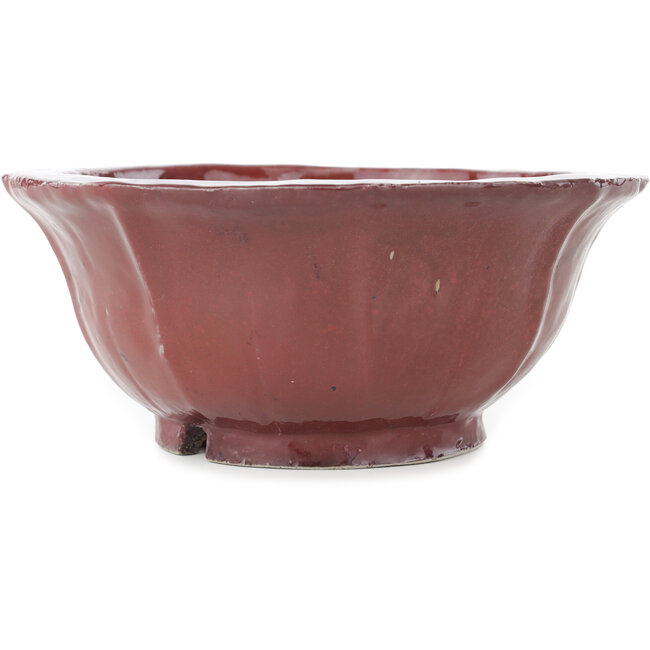 Vaso bonsai rosso loto di Koyou - 187 x 187 x 78 mm