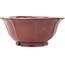 Lotus rode bonsai pot van Koyou - 187 x 187 x 78 mm
