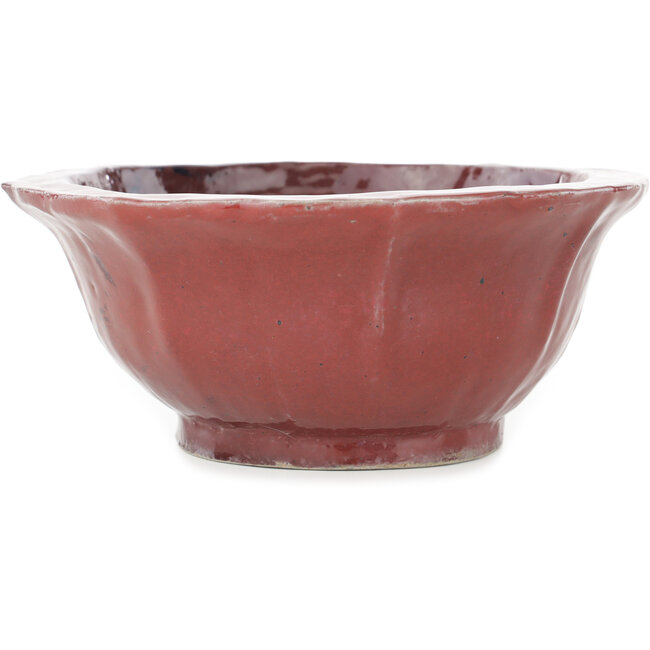 Vaso bonsai rosso loto di Koyou - 187 x 187 x 78 mm