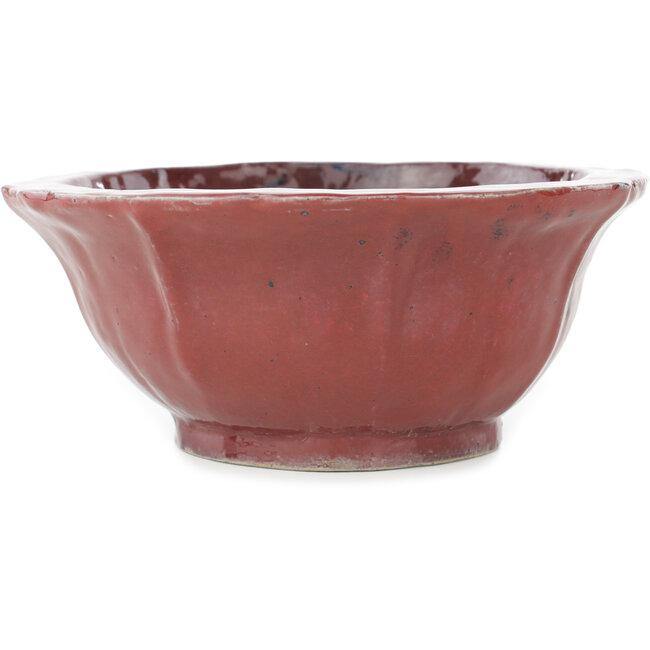 Maceta para bonsái con forma de loto rojo de Koyou - 187 x 187 x 78 mm