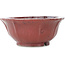 Lotus rode bonsai pot van Koyou - 187 x 187 x 78 mm