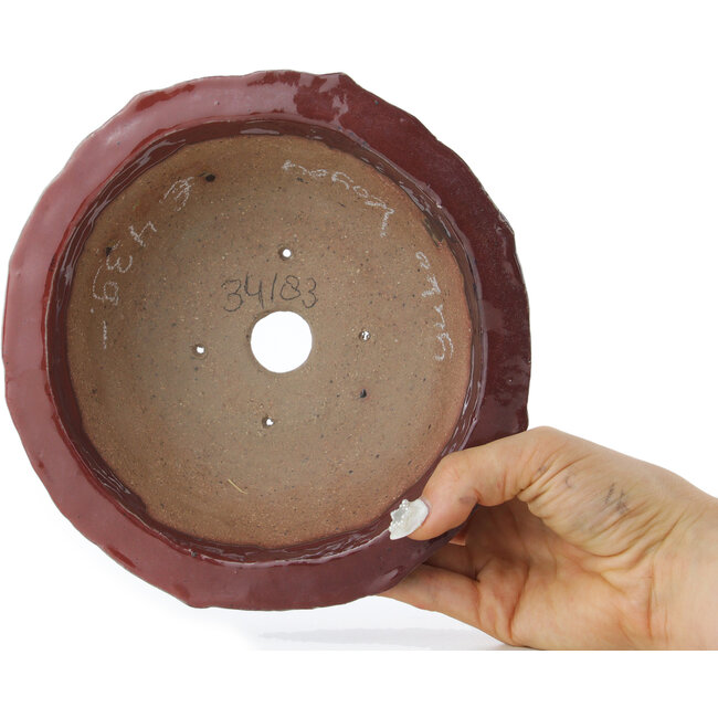 Pot à bonsaï Lotus rouge de Koyou - 187 x 187 x 78 mm