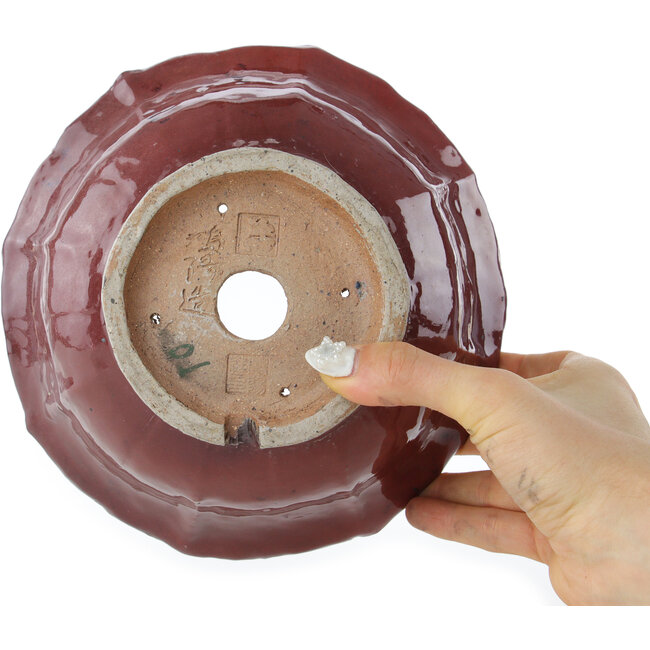 Vaso bonsai rosso loto di Koyou - 187 x 187 x 78 mm