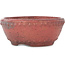 Pot à bonsaï rond rouge de Koyou - 148 x 148 x 60 mm