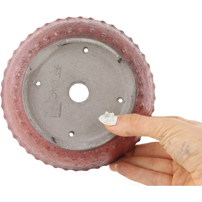 Pot à bonsaï rond rouge de Koyou - 148 x 148 x 60 mm