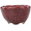 Round red bonsai pot by Koyou - 100 x 100 x 60 mm